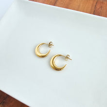 Load image into Gallery viewer, Luxe Selena Hoops - Gold