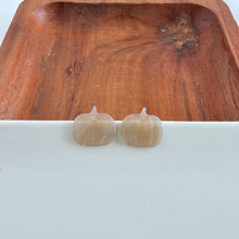 Load image into Gallery viewer, Pumpkin Patch Studs - Cashmere