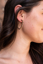 Load image into Gallery viewer, Camy Hoops - Brown Dot