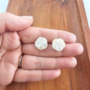 Sand Dollar Studs - Ivory