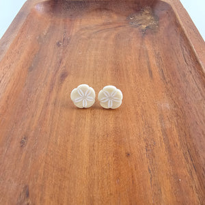 Sand Dollar Studs - Ivory