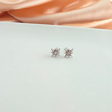 Load image into Gallery viewer, Luxe Starburst Studs - Silver